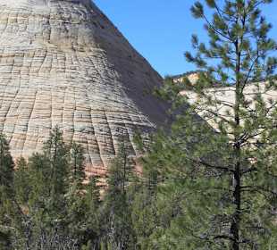 Checkerboard Mesa vor dem Zion Nationalpark 
