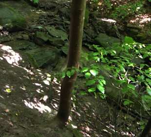 Wanderung Heslacher Wasserfälle und Heidenbrünnele