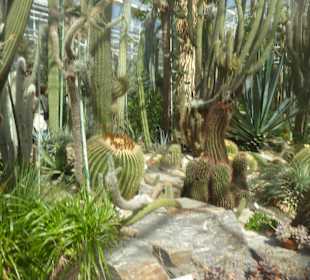 Botanischer Garten München