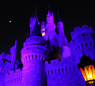 Cinderella Castle bei Nacht