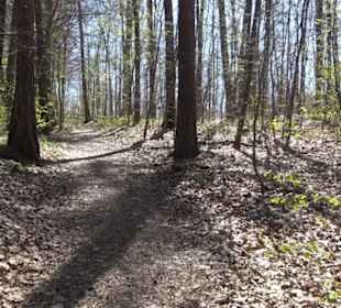 Wanderung Florianrunde