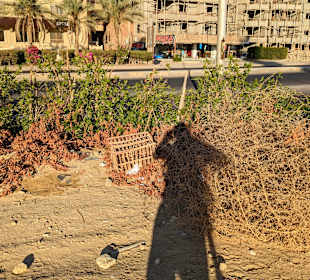 Stadtrundgang Hurghada