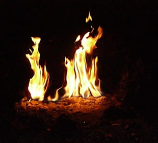 Jeep Safari mit Heike