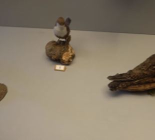 Natur- und Jagdmuseum