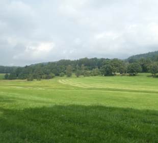 Bei unseren Spaziergängen in / bei Bodenmais