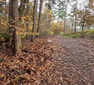 Auf diese kleinen Steintafeln achten