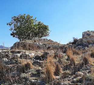 Burgruine Antimachia