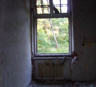 Zakład dla Nerwowo i Psychicznie Chorych Żydów Zofiówka