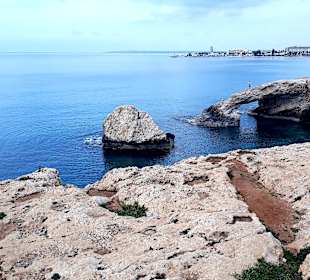 Ayia Napa Bogen Monachus Monachus