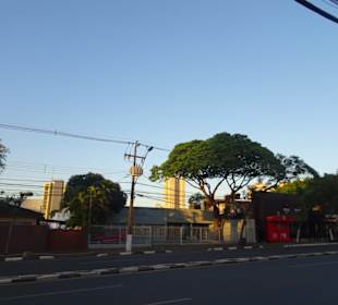 Stadtrundgang Foz do Iguacu