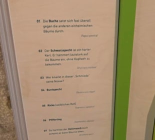 Museum für Naturkunde
