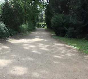 Rosengarten