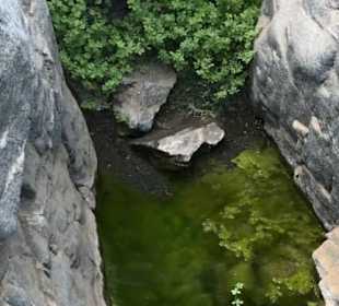 Wadi al Gamal (Kamelwüste)