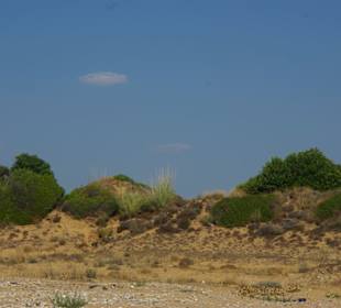 Bewachsene Dünen