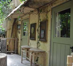 Bungalows im Jungle Cabana