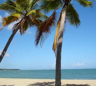 Strandspaziergang Long Beach