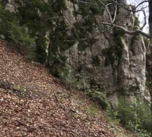 Wanderweg Hochgehswiggert