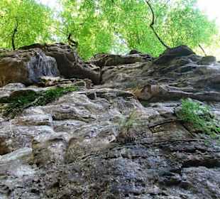 Wanderung durch die Kleine Luxemburger Schweiz