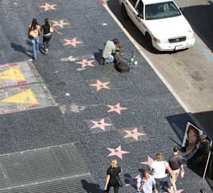 Il viale delle stelle