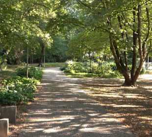 Alter Botanischer Garten