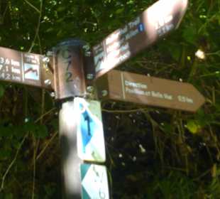 Kleine Luxemburger Schweiz bei Echternach