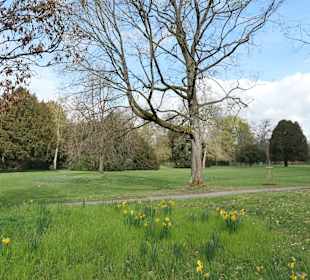 Unterwegs im Karlsruher Schlossgarten