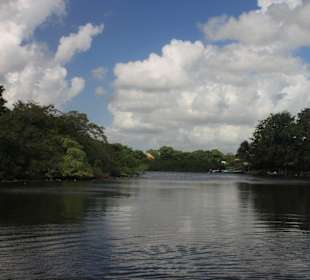 Fluss, der Wasserweg nach Lamanai