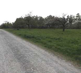 Wanderweg Firstwaldrunde