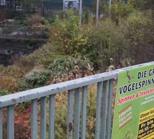 Parkanlage Planten un Blomen