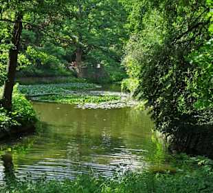 Am Bamberger Hainweiher