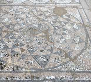 Mosaik