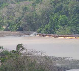 Hier wird der Schlamm vom Grund wieder ausgespuckt