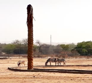 Al Areen Wildlife Park