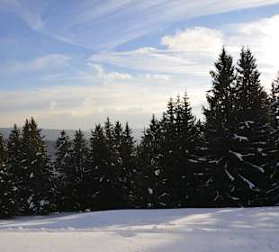 Wandern Merano 2000