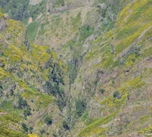 Einzigartige Landschaft