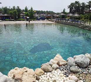 Im Amazon Waterworld