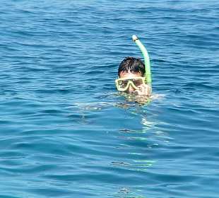 Schnorcheln vor Nusa C.