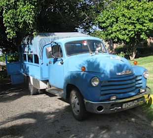 Park Josone - Gemüsehändler bringt frische Ware