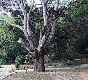 Laguna de agua sulfurosa