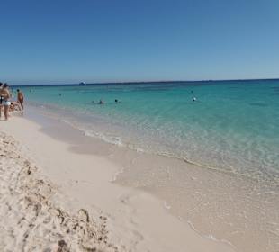 Giftun / Mahmya Inseln