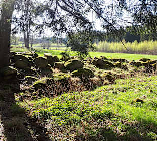 Herrliche Wanderwege