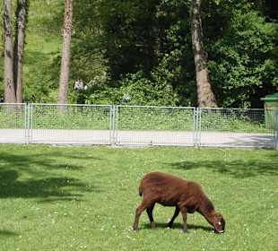 Остров Майнау