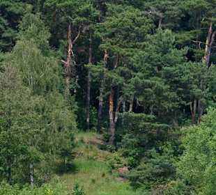 Badestelle am Wannsee