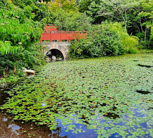 Botanischer Garten Edinburgh
