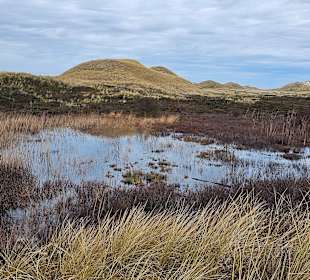Wandern Norddorf auf Amrum