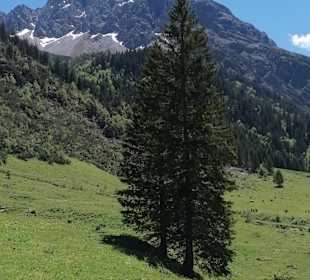 Wandern Oberstdorf