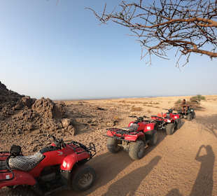 Quad Tour Marsa Alam	