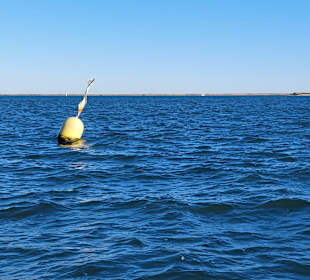 Der Weg ist das Ziel