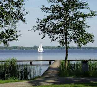 Seegelboot auf dem Zwischenahner Meer