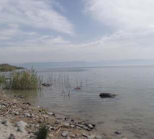 Direkt am See  -  man darf auch baden